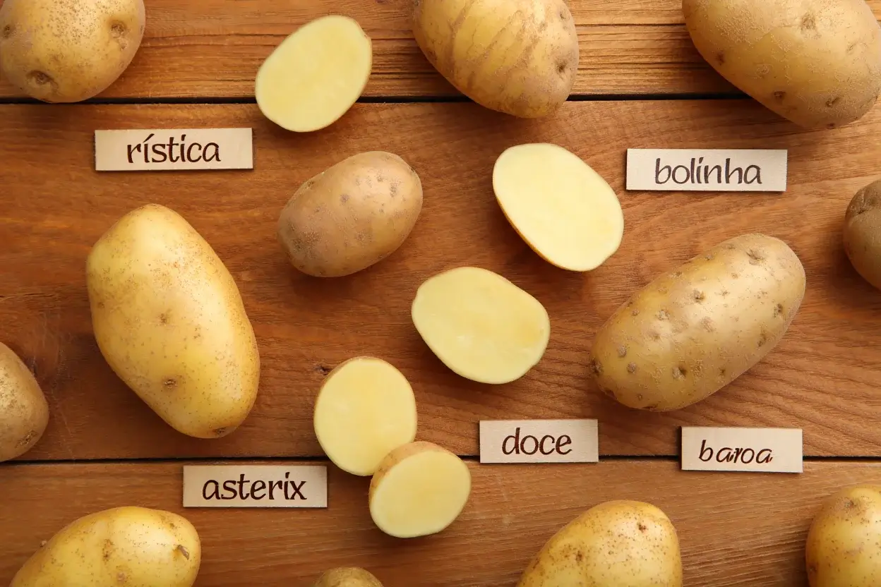 Tipos de batata