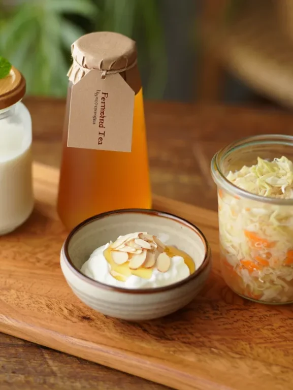 Probioticos naturais